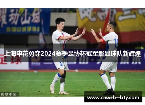 上海申花勇夺2024赛季足协杯冠军彰显球队新辉煌 上海申花勇夺2024赛季足协杯冠军彰显球队新辉煌