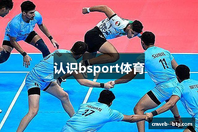 认识bsport体育